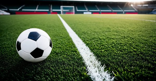 Tout savoir pour choisir un terrain de sport polyvalent